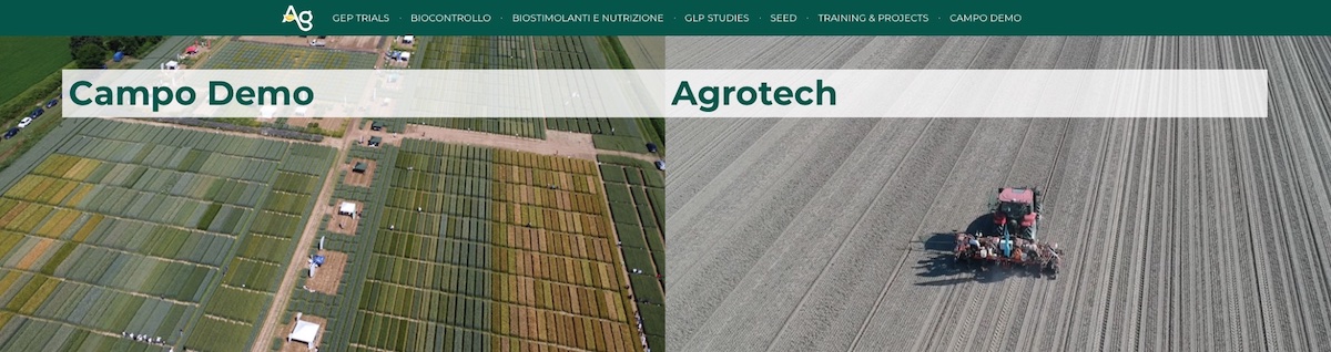 La valorizzazione dei prodotti affidati ad Agricola 2000 avviene attraverso studi dettagliati, prove in campo e consulenza di un team di esperti